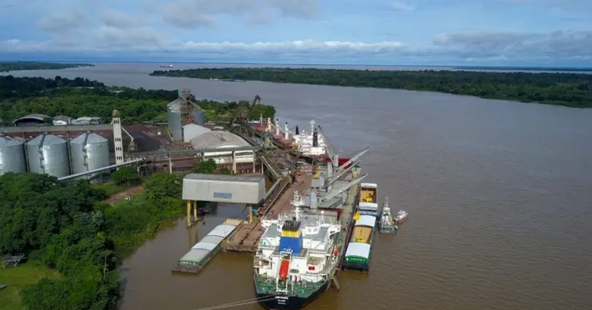 Leilão portuário 2026 no Porto de Santana com terminal de granéis