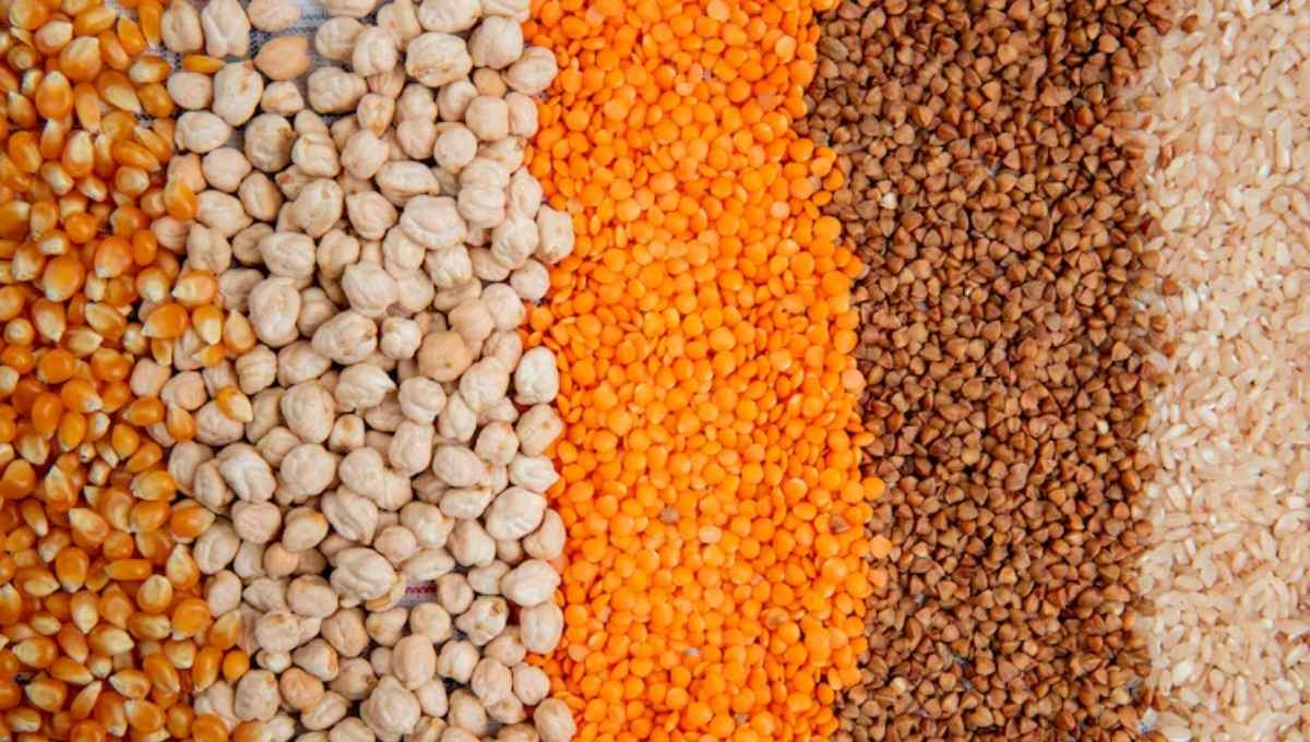 diferentes grãos agrícolas usados na produção brasileira como soja, milho e arroz