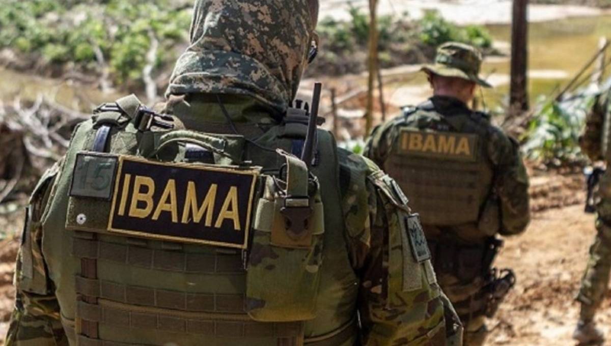 Agentes do Ibama em operação de fiscalização ambiental em área de desmatamento